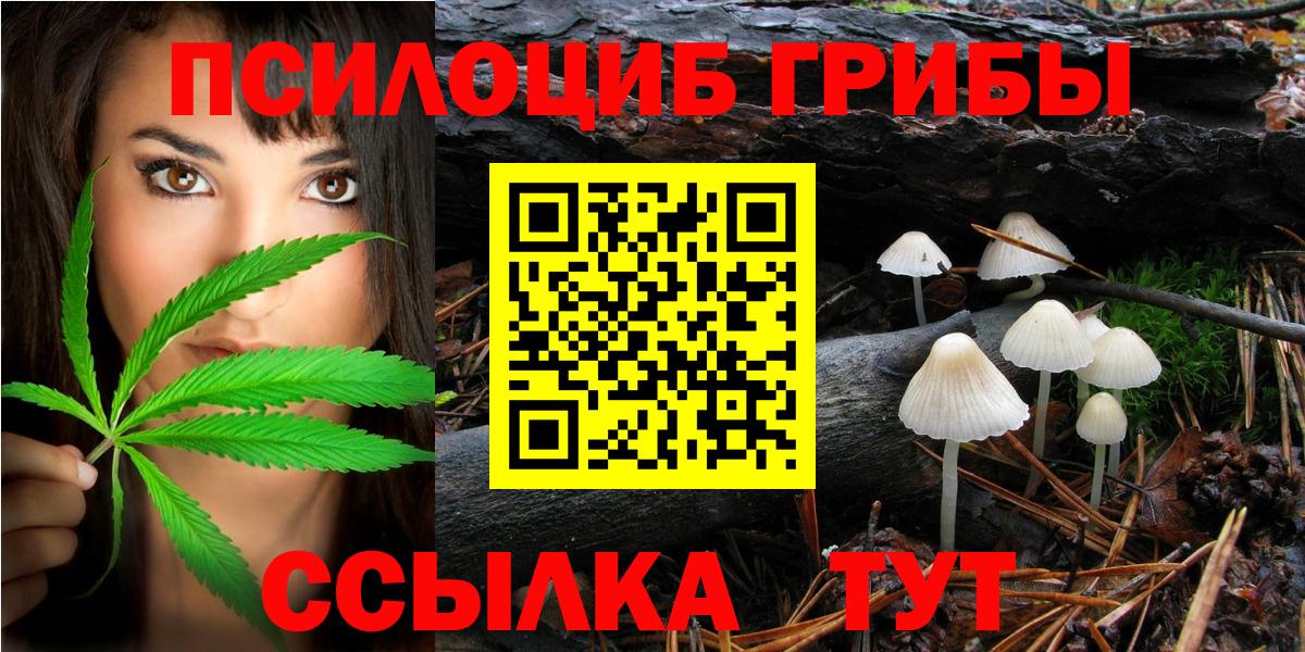 Галлюциногенные грибы ЛСД Клинцы